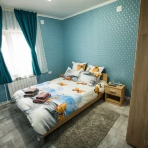 camera dubla confort cazare la piatra buhei